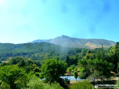 Gredos: Sierras del Cabezo y Centenera;bosque de valsaín canchal de la ceja sierra de somosierra bo